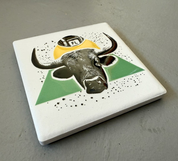 Tampa Bay Football Bull Ceramic Fridge Magnet