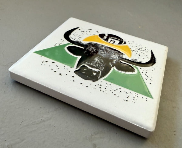 Tampa Bay Football Bull Ceramic Fridge Magnet