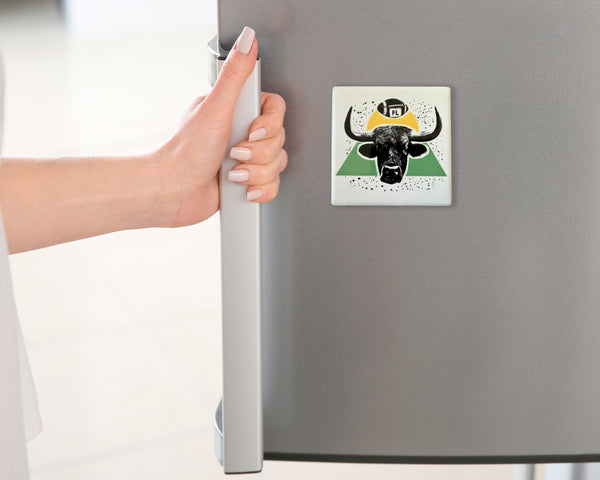 Tampa Bay Football Bull Ceramic Fridge Magnet