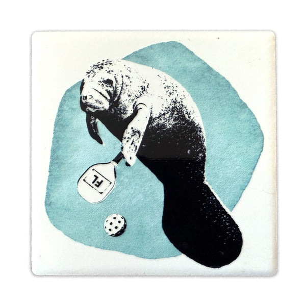 manatee playing pickle ball