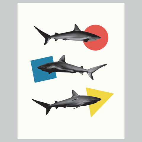 Three Sharks  | Modern Shark Collage Giclee Wall Art Print